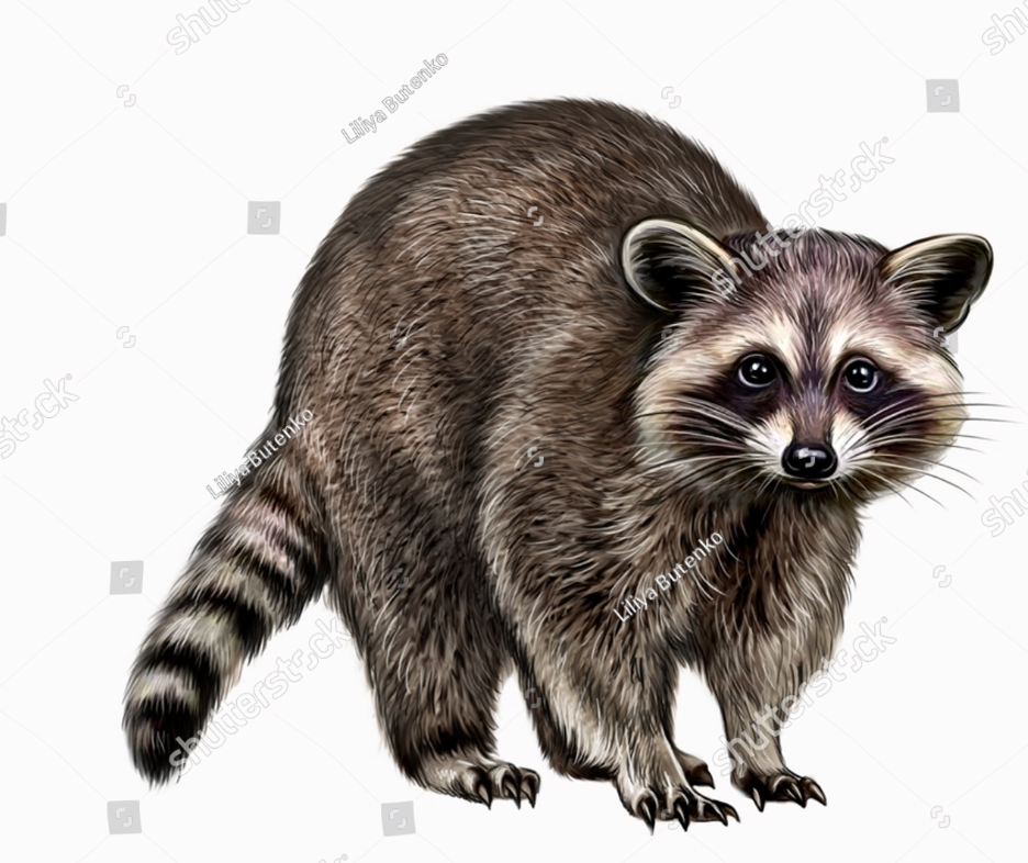 Raccoon, Handmade Raccoon Paper Ornament