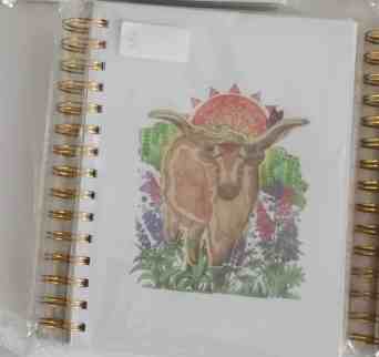 Notebook Longhorn