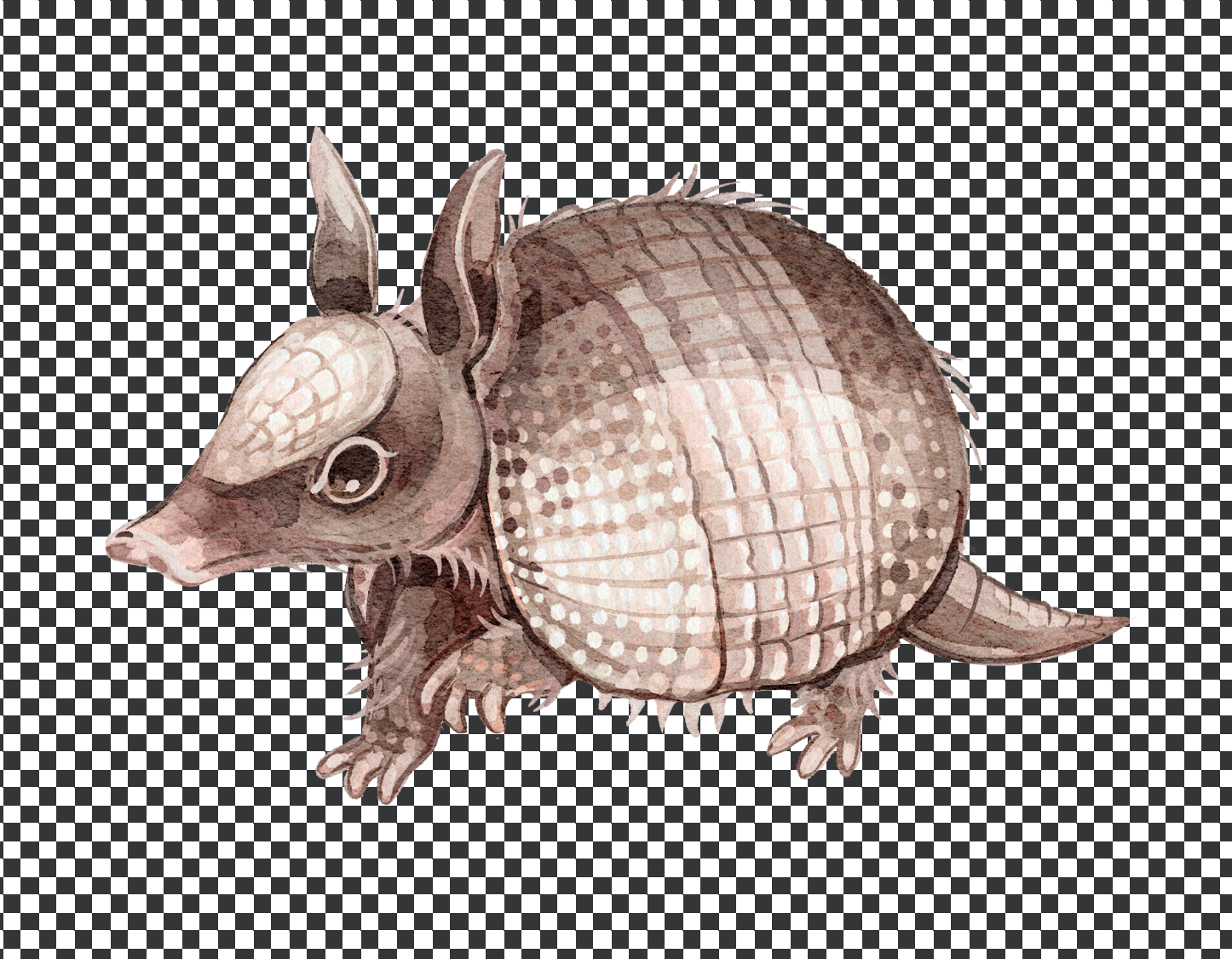 Armadillo, Quilling Art Piece (3)