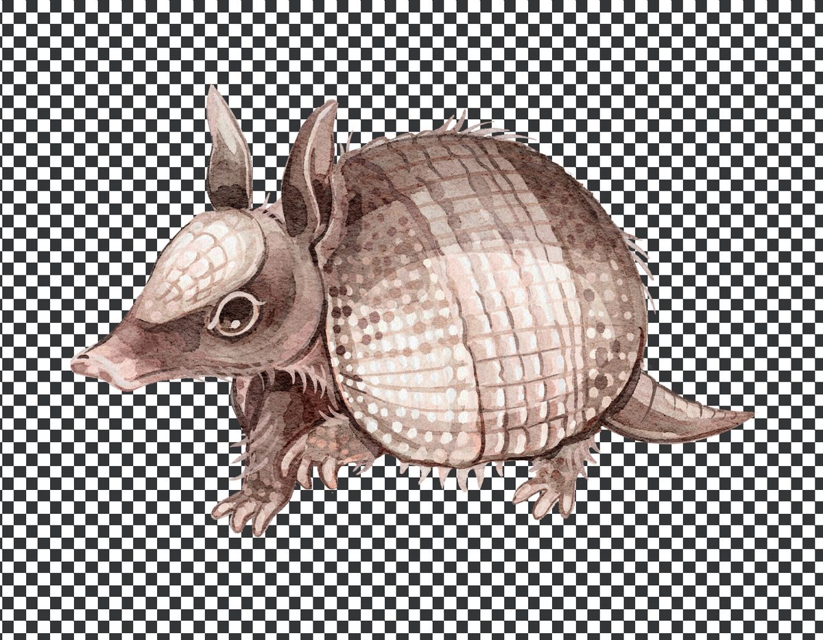 Armadillo, Quilling Art Piece (3)